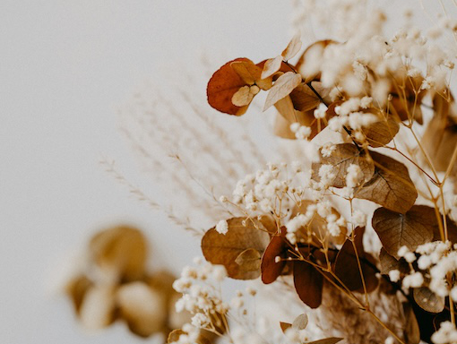 annie-spratt-9BPr8tDRZp0-unsplash Miranda